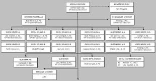 2.wakil ketua kelas / wakil ketua murid (wakil km). Contoh Struktur Organisasi Kelas Yang Kreatif Berbagai Struktur