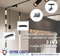 Magnetic Linear Track Light, Round, Cool White