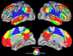 Although the function of the right temporoparietal junction (rtpj), a key neural marker of tom and morality, is known to be atypical in autistic individuals, the neurocomputational mechanisms underlying its specific changes in. Frontiers Rethinking The Role Of The Rtpj In Attention And Social Cognition In Light Of The Opposing Domains Hypothesis Findings From An Ale Based Meta Analysis And Resting State Functional Connectivity Human Neuroscience