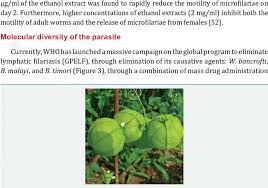 Image result for Cardiospermum halicacabum