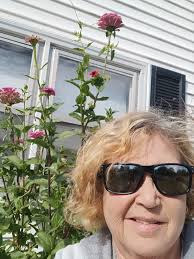 Some of my zinnias are taller than I am.(4'11")