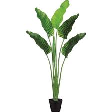 Bird Of Paradise Plant Leaves Curling Up 64 Inch Outdoor Plastic Bird Of Paradise Plant Potted Artificial Plants Indoor Artificial Birds Small Artificial Plants