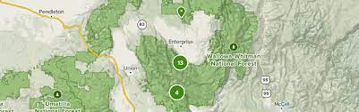 Wallowa lake is in joseph, oregon. Best Wild Flowers Trails In Wallowa Lake State Park Oregon Alltrails