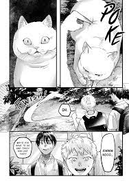 Art] Don't touch a cat like this (The Summer Hikaru Died) : r/manga