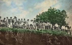 Músicas gaúchas grátis para baixar. Arquivos Musica Gaucha Linha Campeira