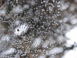 صور عن الشتاء والمطر جميلة جدا ومعبرة موقع حصري Winter Images Image Winter