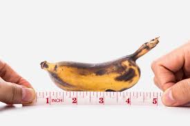 Erect length-everything you need to know