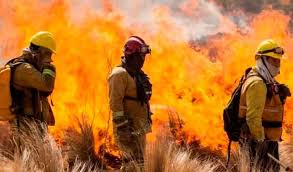 El país cuenta con más de 43 mil bomberos voluntarios distribuídos en más de 900 cuerpos en todo el país. Por Que El 2 De Junio Se Festeja El Dia Del Bombero Voluntario Argentino Noticias De Bomberos