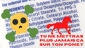 Ces questions vont déjà vous orienter vers l'âge et la race éventuelle que vous allez choisir. Que Contiennent Les Produits De Soin Pour Ton Cheval