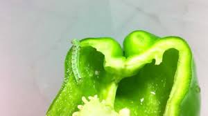 Angiostrongylus cantonensis is a parasitic worm of rats. Dangerous Thin Snake Worm Inside Capsicum And Cabbage Fact Check