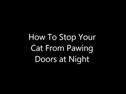 Considering how frequently my cats use it. How To Stop Cats From Scratching Doors At Night Youtube