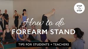 Cobra or upward facing dog. How To Do Forearm Stand Rachel Scott