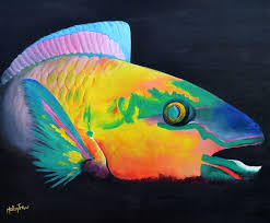 Parrot Fish Splendour Parrot Fish Colorful Fish Pet Birds