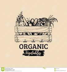 Pin By Jakub Wendel On Poleznye Sovety I Organizaciya Organic Logo Design Fruit Logo Design Farm Logo Design