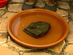 Painting Concrete Bird Bath Concrete Bird Bath Diy Bird Bath Bird Baths Homemade