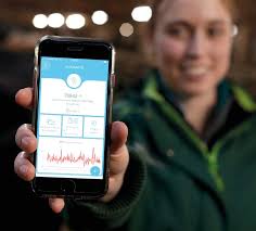 ZU MEHR TIERWOHL & EFFIZIENZ MIT DER RICHTIGEN TECHNIK