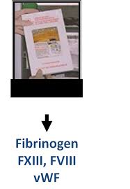 We did not find results for: Pediatric Transfusion Management Cancer Therapy Advisor