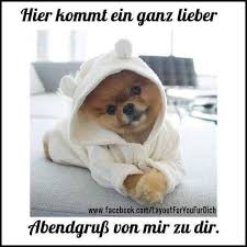 Dieser wird automatisch markiert und du kannst ihn direkt kopieren und. Pin Von Joerg Zippel Auf All Gute Nacht Spruche Gute Nacht Susse Hunde
