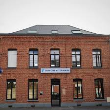 Vétérinaire Valenciennes - Clinique Valvet des Drs VanWynsberghe & Verzura