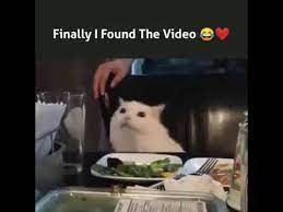 Woman Yelling At Cat Meme Youtube