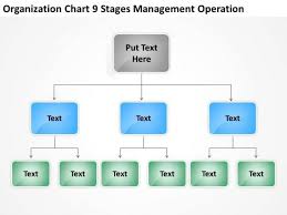 Organization Chart 9 Stages Management Operation Ppt How To