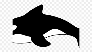 Bottlenose Dolphin Clipart Cartoon Orca Killer Whales Cartoon Png Download 435869 Pinclipart Discover and download free orca png images on pngitem. bottlenose dolphin clipart cartoon
