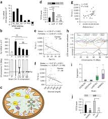 Последние твиты от jose francisco ortega (@franciscoblck). Genetic Identification Of Thiosulfate Sulfurtransferase As An Adipocyte Expressed Antidiabetic Target In Mice Selected For Leanness Nature Medicine