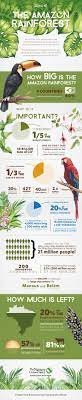 Amazon Rainforest Infographic The Nature Conservancy Rainforest Activities Rainforest Project Nature Conservation
