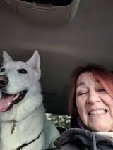 Vape City USA Reviews