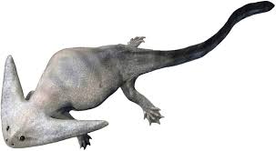 Image result for Leptaulus