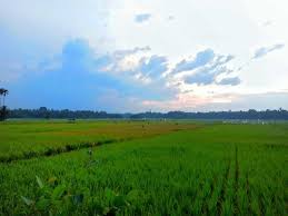 Objek wisata kekinian, terbaru & terhits dikunjungi wisatawan. Pemandangan Alam Yang Sangat Indah Steemit