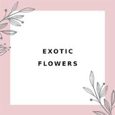 Maybe you would like to learn more about one of these? Exotic Flowers