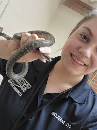 Check out what wandered into our Communications Center in OKC last night!  Our dispatchers were able to safely capture him and release him somewhere  he'd be safe and not bother anyone!