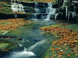 Visiting starved rock state park? Starved Rock State Park Heritage Corridor Convention And Visitors Bureau Venue