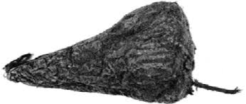 Image result for Callilepis laureola