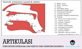 Pengertian Artikulasi Dan Faktor Yang Mempengaruhinya