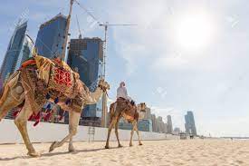 Camel ride dubai may be a should do issue if you visit dubai. Tour Guide Offering Tourist Camel Ride On Jumeirah Beach On In Stock Photo Picture And Royalty Free Image Image 70521570