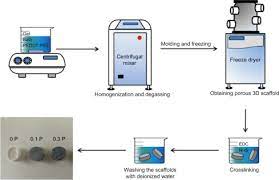 Check spelling or type a new query. Freeze Drying An Overview Sciencedirect Topics