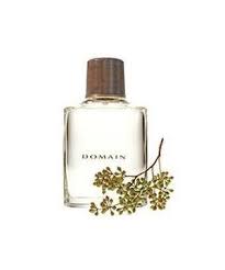 Mary Kay Men S Cologne Domain By Mary Kay 28 50 A Blend Of Lavender Oak Moss And Musk 2 5 Oz Spray Bottle Men S Colog Mary Kay Mens Fragrance Fragrance