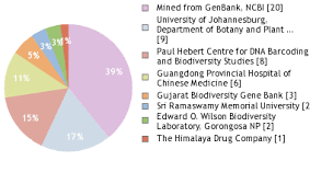 Image result for Hygrophila cataractae