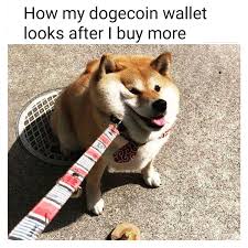 Follow the vibe and change your wallpaper every day! Doge Feeling A Lil Heavy Dogecoin