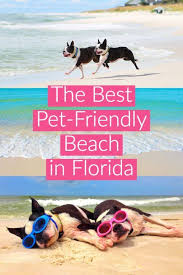 A Week At The Beach In Cape San Blas Florida Cape San Blas Florida Dog Beach Best Island Vacation