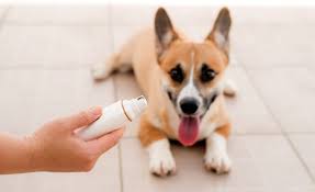 Jun 16, 2021 · shop amazon now to get huge savings on products to make your house a little more comfortable with early prime day deals! 23 Best Dog Gadgets To Make Fur Parent Life Easier