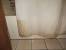 Mildew On Shower Curtain Liner