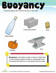 What Is Buoyancy Physical Science Activities Physical Science Science Activities