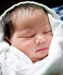 Newborn Baby Ella One Day Old Great Kid Pix