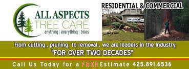 As the best tree service tallahassee has to offer, our pledge is to offer the highest level of safety and professionalism in all aspects of our tree service operations, from initial contact and consultation with one of our certified arborists all the way to the work being conducted by our highly trained crews. All Aspects Tree Care Home Facebook