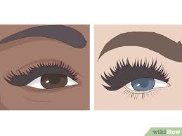 How To Map Lash Extensions With Pictures Wikihow