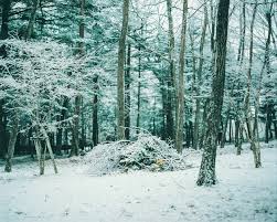 Plaubel makina67（プラウベルマキナ）の作例で、冬の軽井沢をご紹介 | よりみち軽井沢