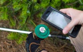 You can also choose from solid, liquid. Residential Pest Control Reliable Pest Control For Homes In Baltimore